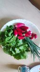 IMG-20240611-WA0009