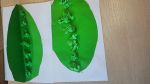 IMG-20240611-WA0000