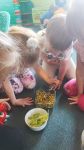 IMG-20240611-WA0002