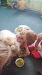 IMG-20240611-WA0003