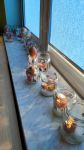 IMG-20240204-WA0012